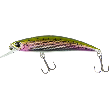 Rainbow Trout