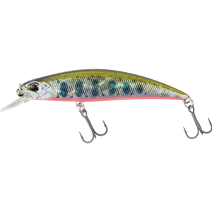 Yamame Red Belly