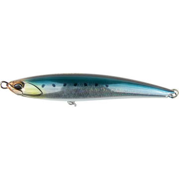 Scaled Sardine