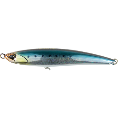 Scaled Sardine