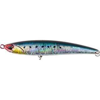 Genkai Sardine