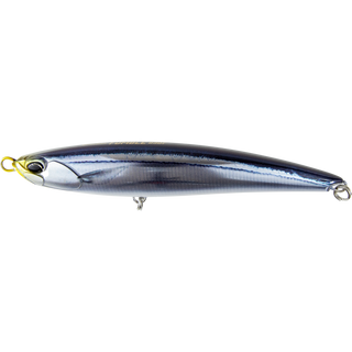 Live Saury