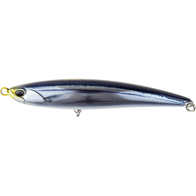 Live Saury
