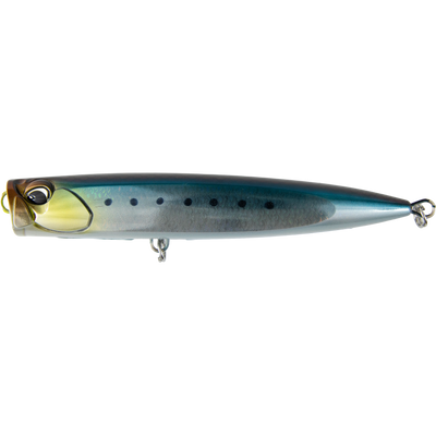 Scaled Sardine