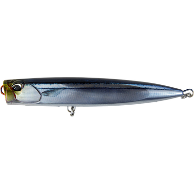 Live Saury