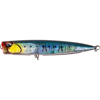 Genkai Sardine