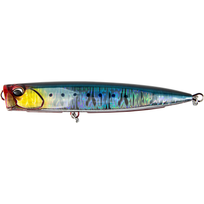 Genkai Sardine