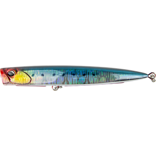 Genkai Sardine