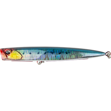 Genkai Sardine