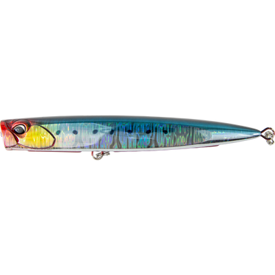 Genkai Sardine