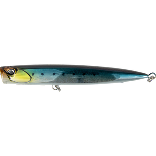 Scaled Sardine