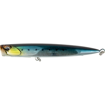 Scaled Sardine