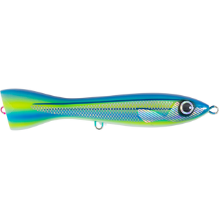 Striped Fusilier