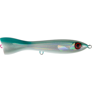 SY Garfish