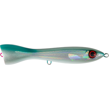 SY Garfish