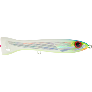 White Glow Belly