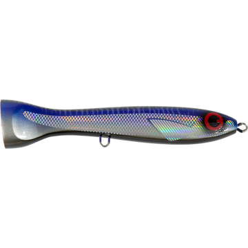 Purple Phantom Mackerel