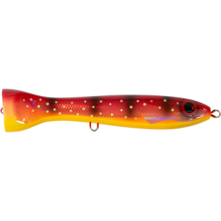 Coral Trout