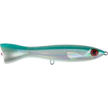 SY Garfish