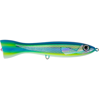 Striped Fusilier