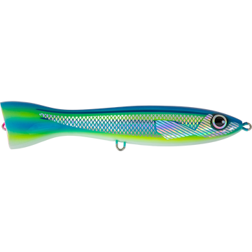 Striped Fusilier