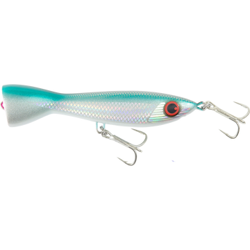 SY Garfish