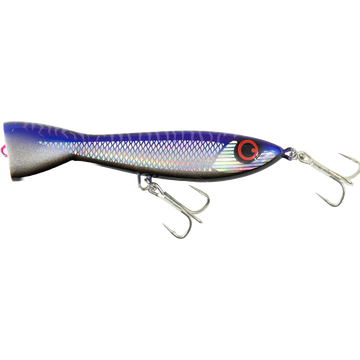 Purple Phantom Mackerel