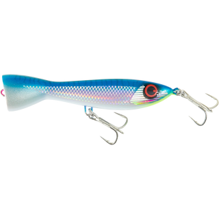 Bright Mackerel