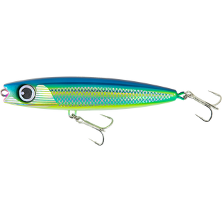 Striped Fusilier