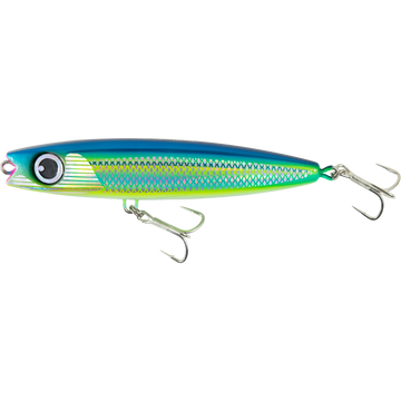 Striped Fusilier