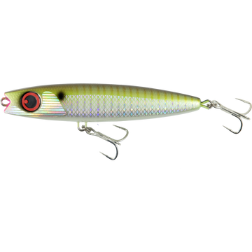 Horse Mackerel