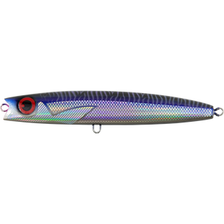 Purple Phantom Mackerel
