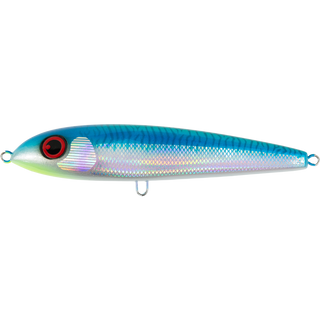 Bright Mackerel