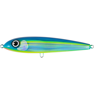 Striped Fusilier
