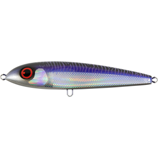 Purple Phantom Mackerel