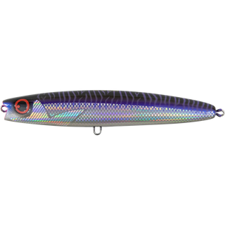 Purple Phantom Mackerel