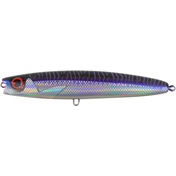 Purple Phantom Mackerel