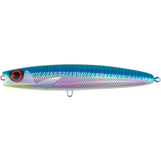 Bright Mackerel