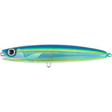 Striped Fusilier