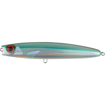 SY Garfish