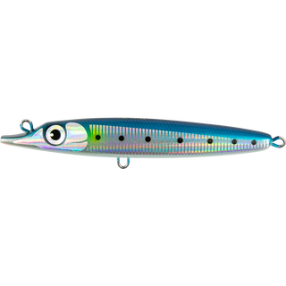 Sardine