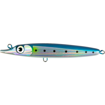 Sardine
