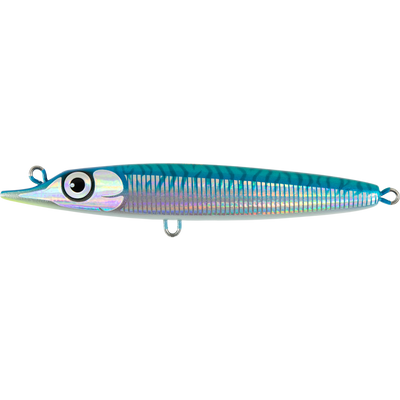 Bright Mackerel