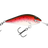Rainbow Trout