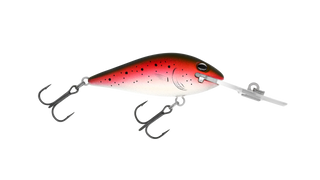 Rainbow Trout