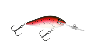 Rainbow Trout