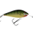 Swamp Tiger