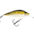 Mustard Grunter