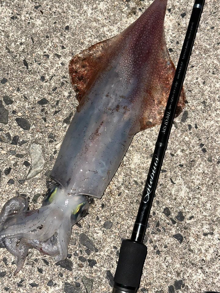 Yamaga Blanks - Mebius 85ML Squid Rod
