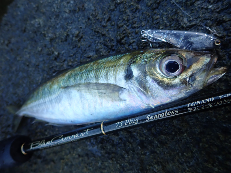 Yamaga Blanks - Blue Current 73Plug Seamless Spinning Rod
